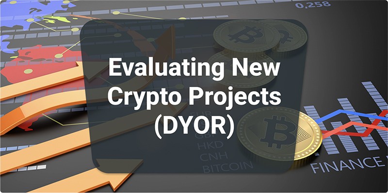 Evaluating New Crypto Projects (DYOR)