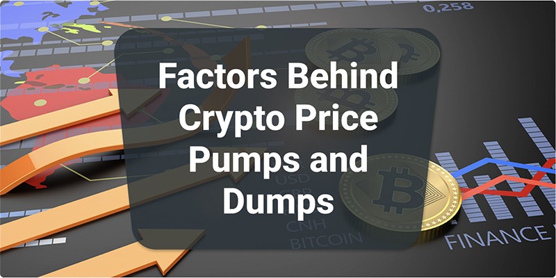 Factors Behind Crypto Price Pumps and Dumps