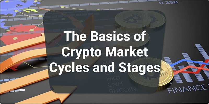 The Basics of Crypto Market Cycles and Stages