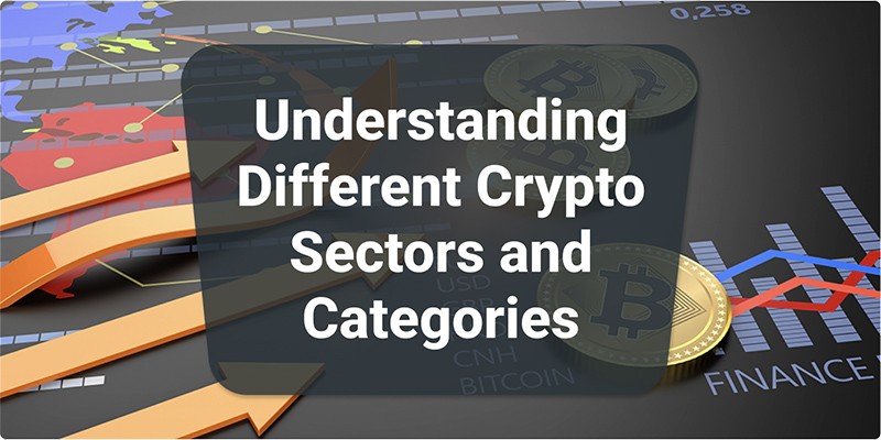 Understanding Different Crypto Sectors and Categories