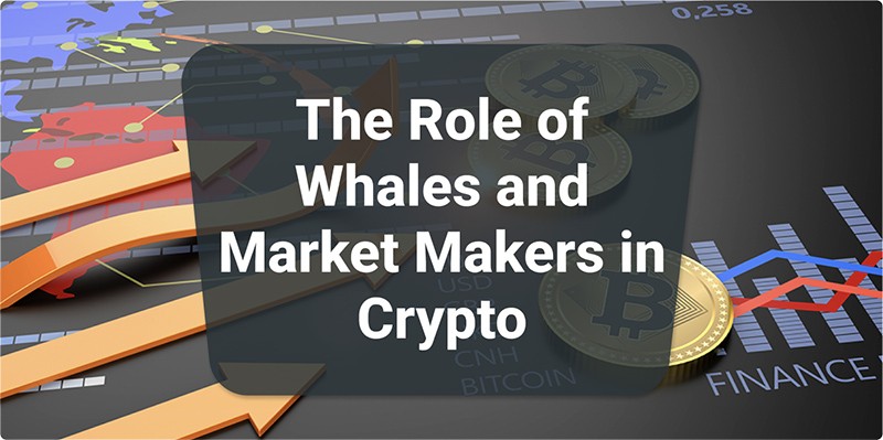 The Role of Whales and Market Makers in Crypto